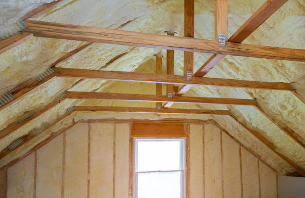 Best Insulation Contractor Near Me  in Dland, MI