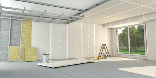 Best Insulation Inspection Services  in Dland, MI