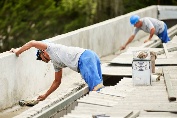 Best Local Insulation Services  in Dland, MI
