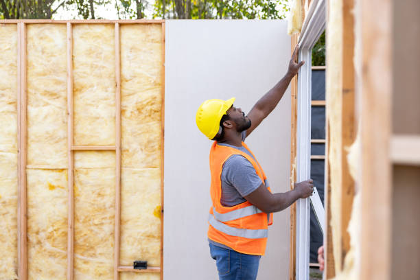 Best Insulation Contractor Near Me  in Dland, MI