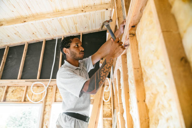 Best Best Insulation Companies  in Dland, MI