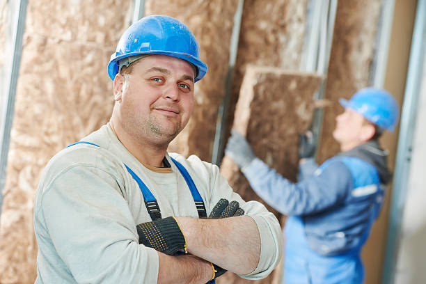 Best Professional Insulation Contractor  in Dland, MI
